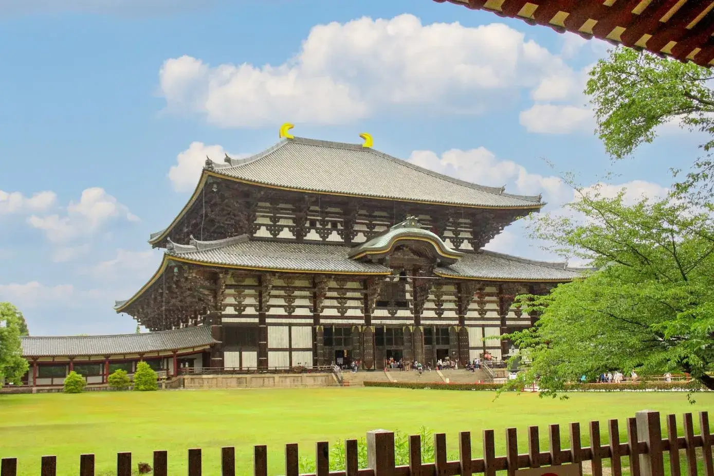 Best Day Trips from Kyoto - Nara