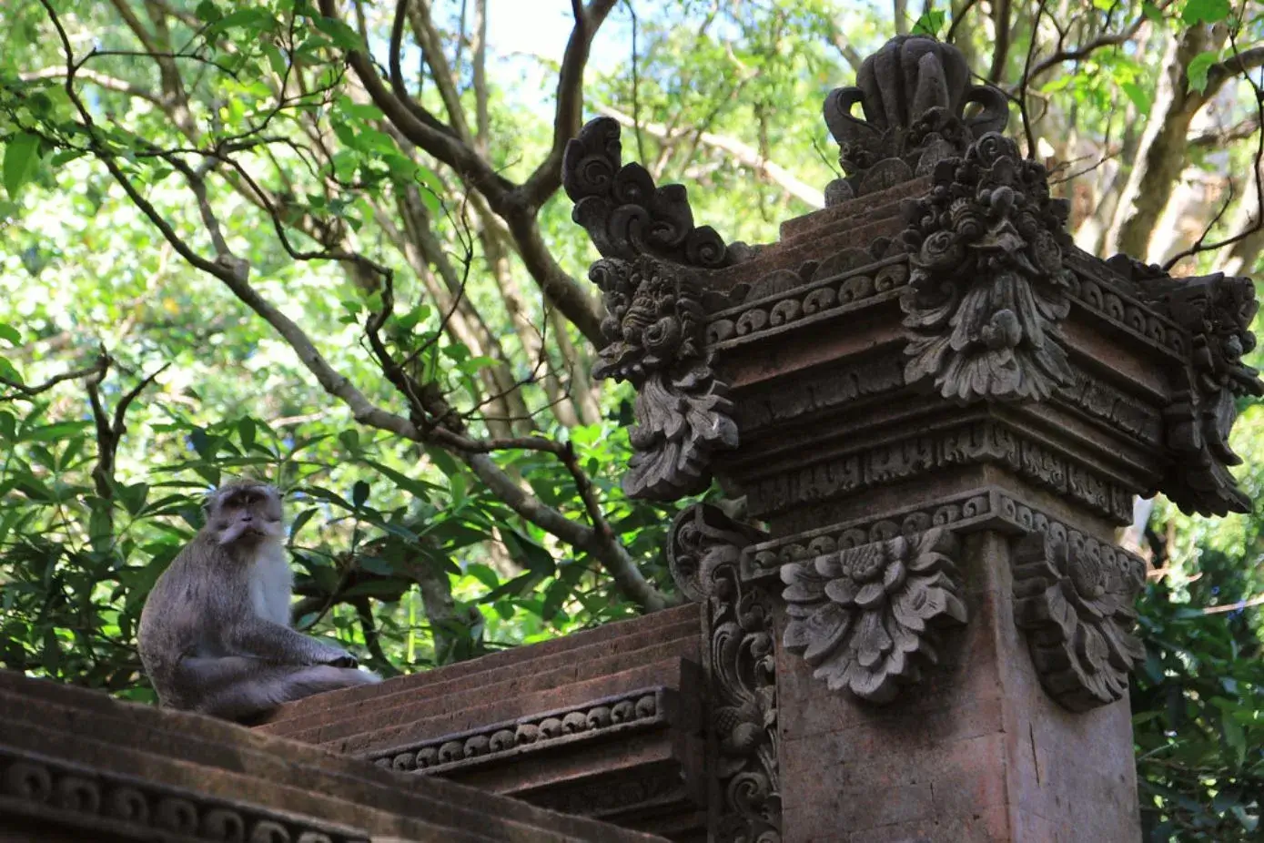 Best things to do in ubud - Ubud Monkey Forest