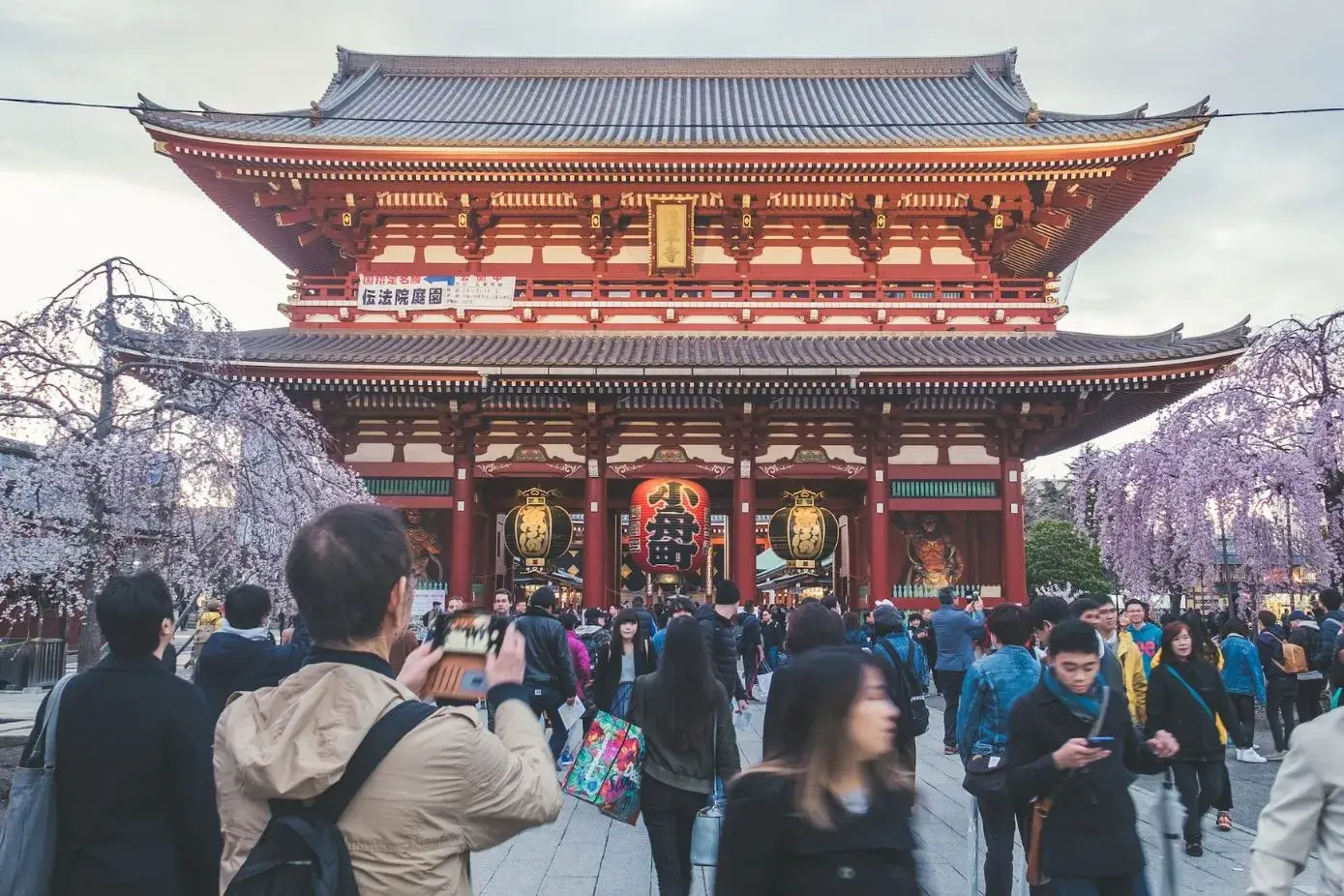 Best Things to Do in Asakusa