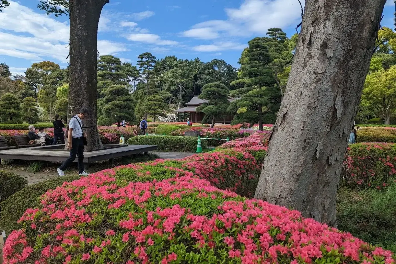 Imperial Palace East Gardens - Best Japanese Gardens in Tokyo