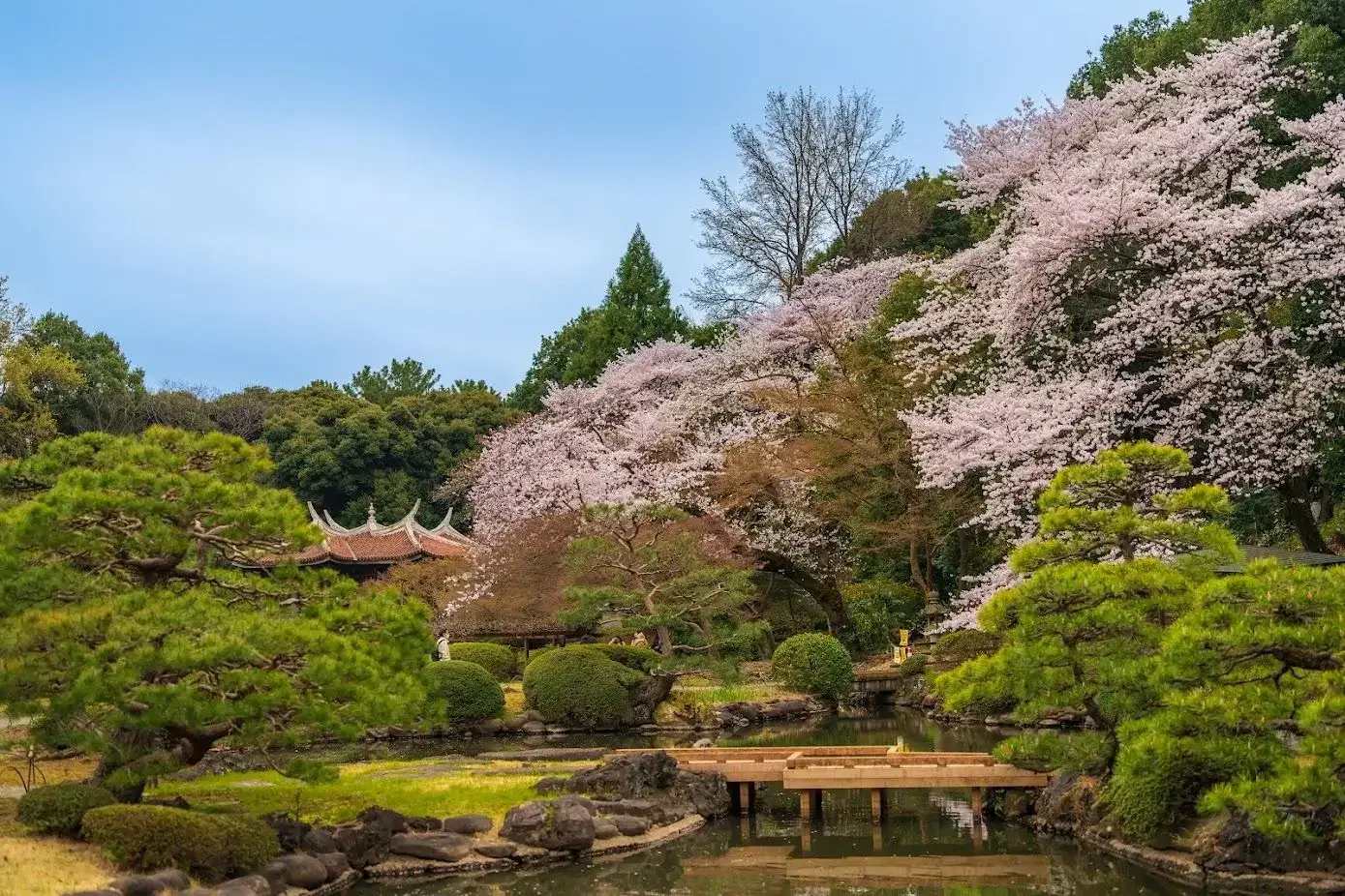 Shinjuku Gyoen National Garden - Best Japanese Gardens in Tokyo