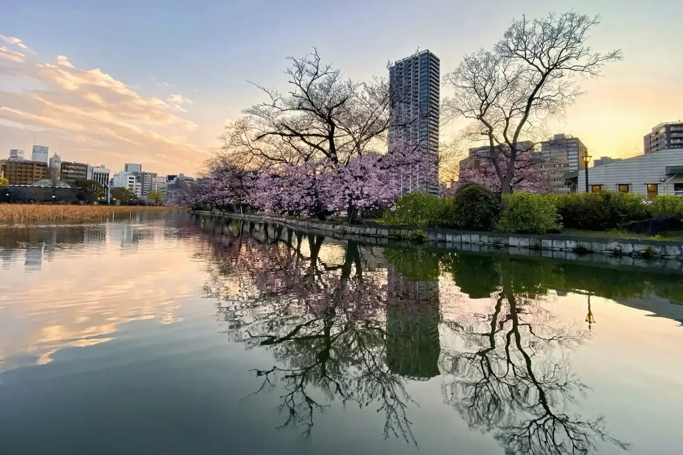 Ueno Park - Best Japanese Gardens in Tokyo