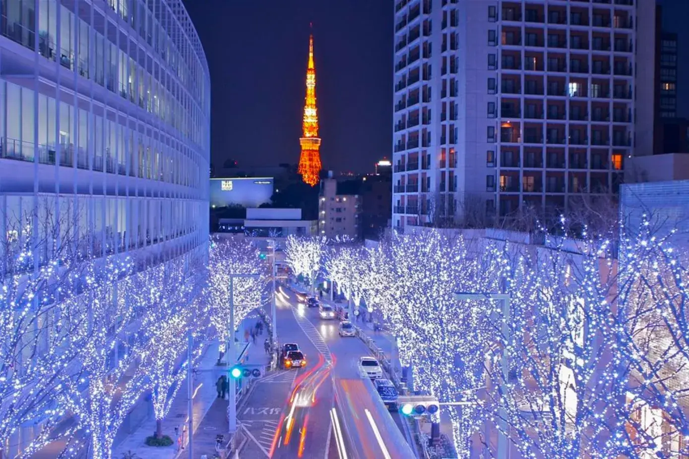 Attend Festivals - Tokyo Christmas Illuminations