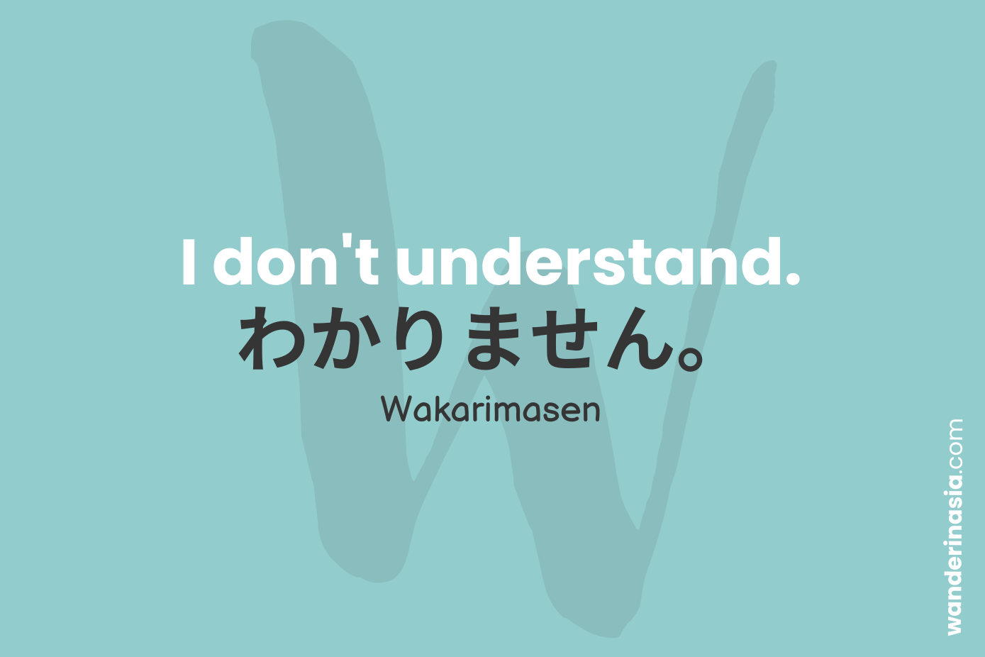 Basic Japanese Phrases for Travelers - I dont understand