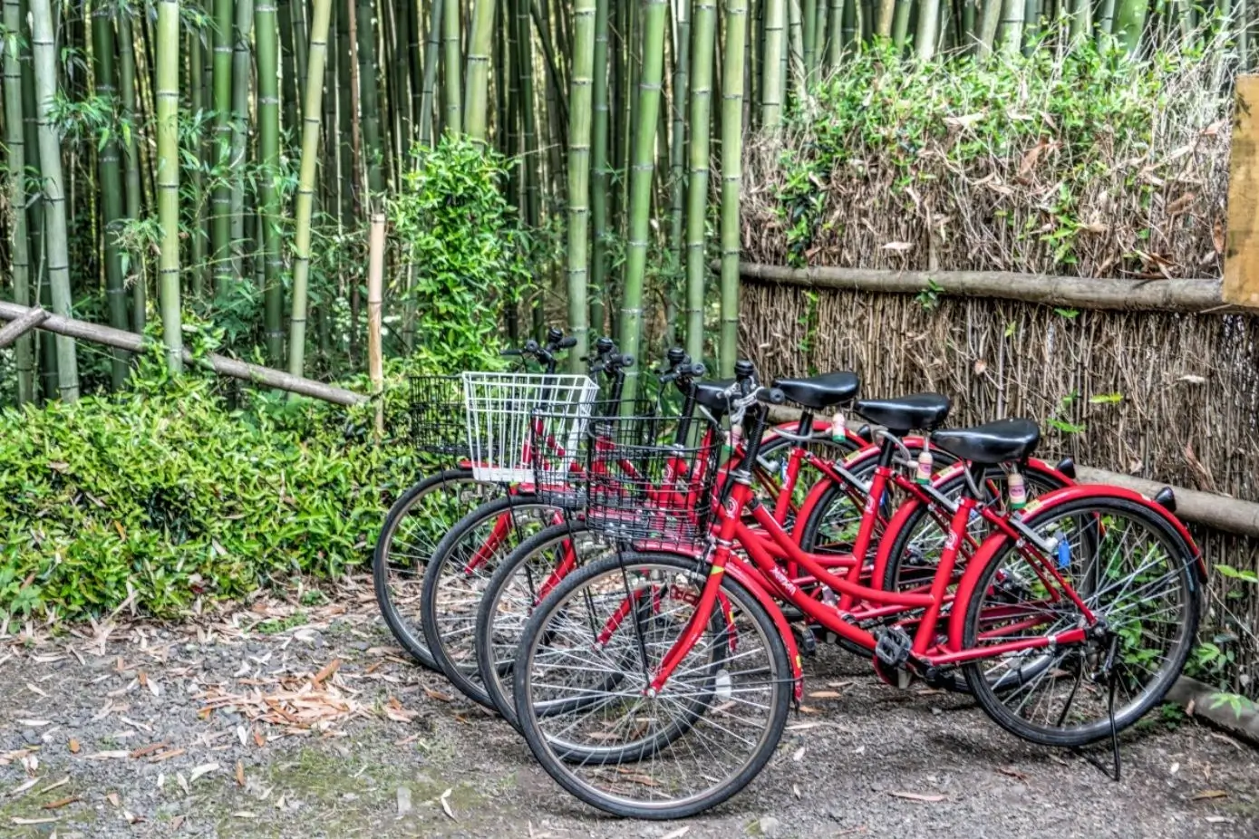 Japanese Public Transportation - Bicycle