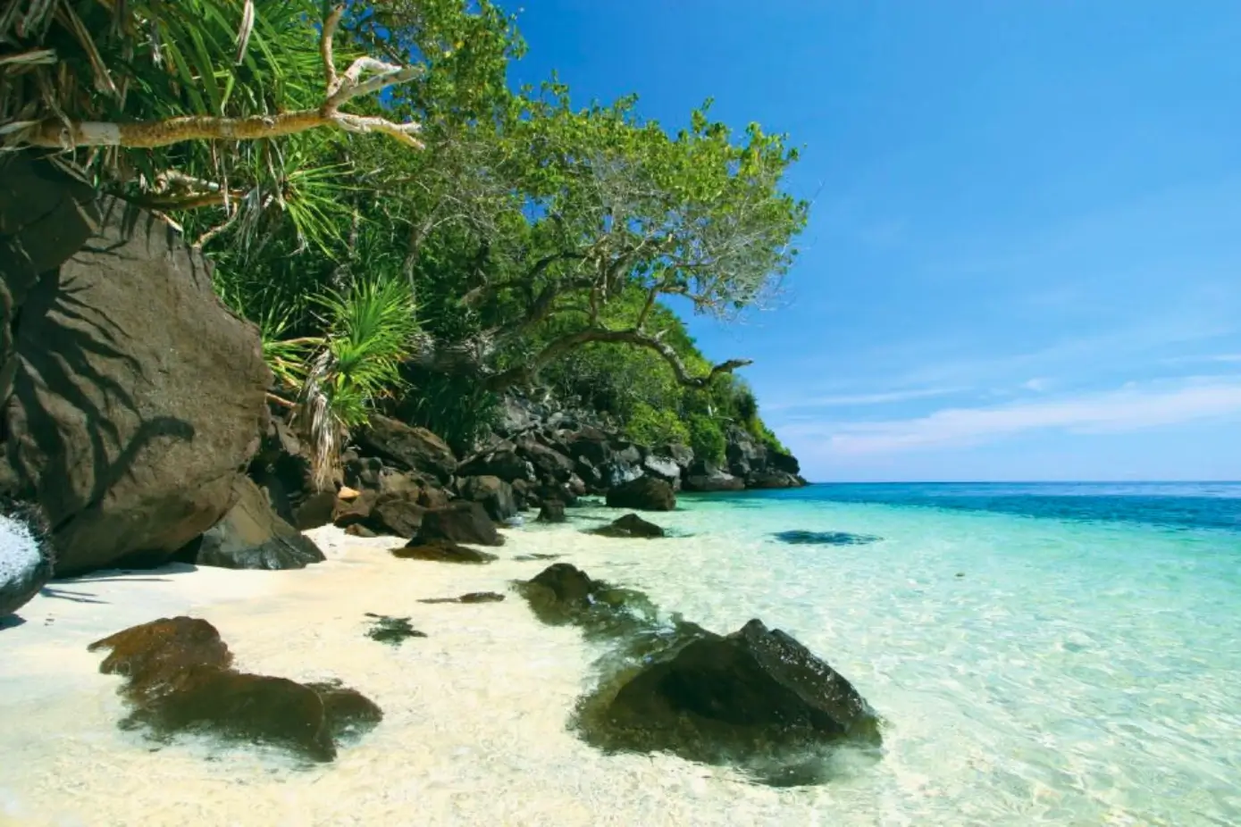 Best Beaches in The Philippines, Apo Island