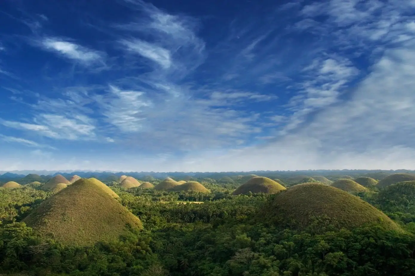 things to do in the philippines - chocolate hills of bohol
